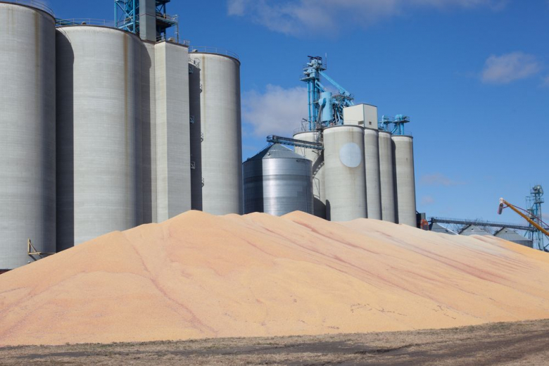 Россия закупила на Национальной товарной бирже 9 450 тонн зерна